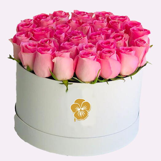 Pink roses in white floral box