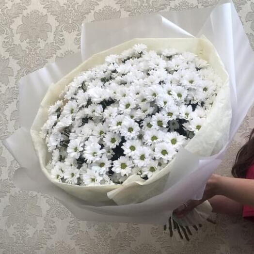 Ромашки Саннтини