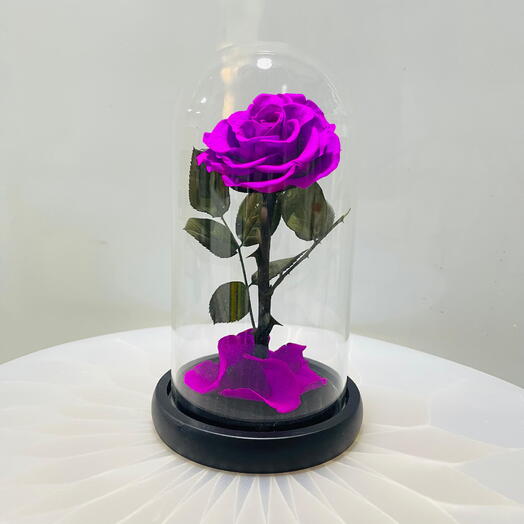 Infinity Purple Rose in Glass Dome – A Unique Valentine s Gift