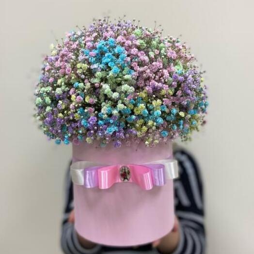 Box with rainbow gypsophila