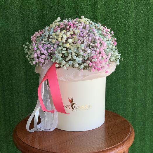 Цветная гипсофила в коробке XL🌸