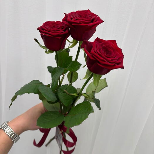 Красные розы под ленту️🥰