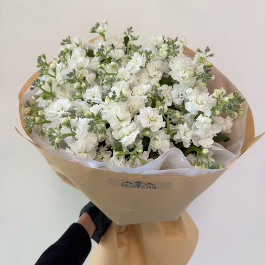 For lovers