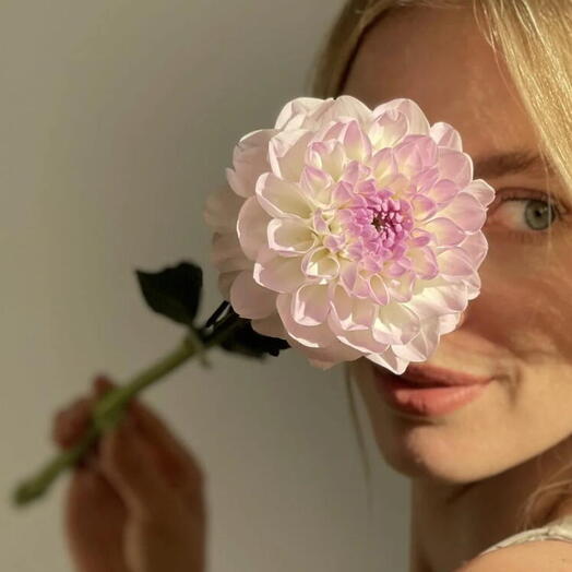 Garden Flowers