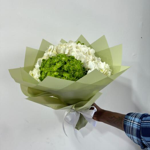 Green and white hydrangeas bouquet