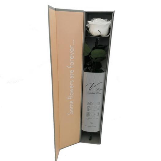 Rosa Blanca Preservada Premium