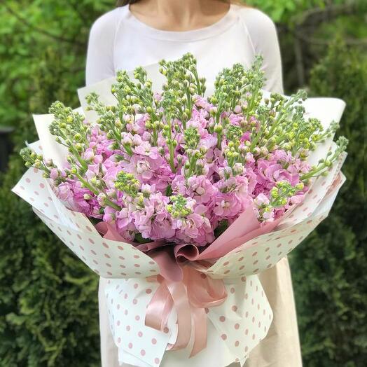 bouquet of 51 pink matthiola
