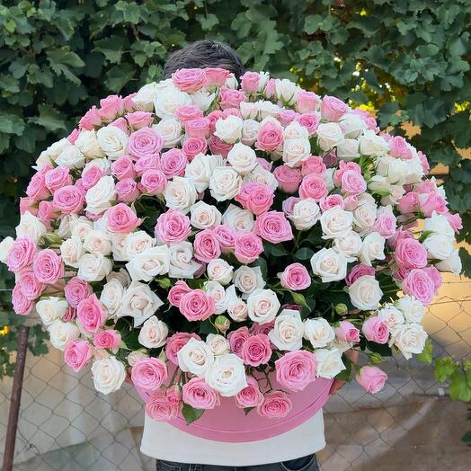 White and pink rose in box