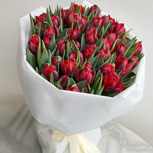 Red tulips