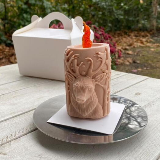 Şokoladlı peçenye "Swieca"