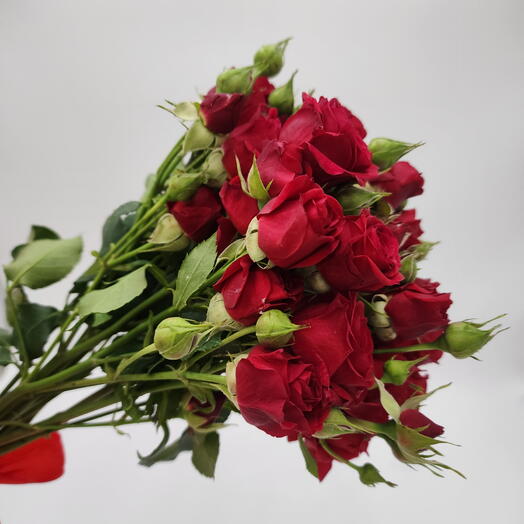 10 Stems of Fresh Baby Red Roses