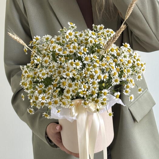 WILDFLOWERS