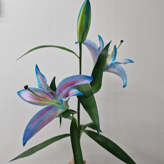 Flower Fancy x Juznoe Butovo