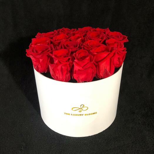 Red Infinity Roses in White Box