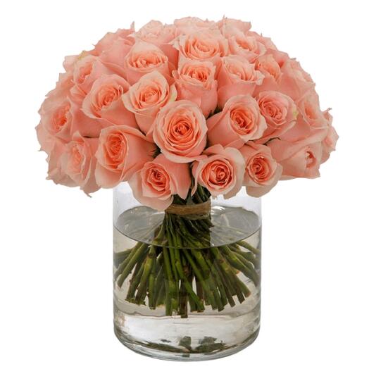 31 Beautiful Peach Rose Glass Vase