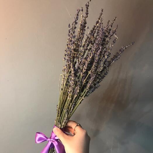 Лаванда Цветы Купить В Спб