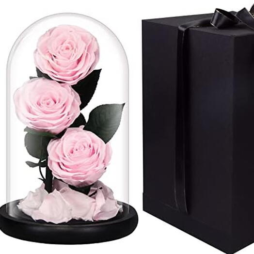 Glass Dome Vase With Three Rose Pink