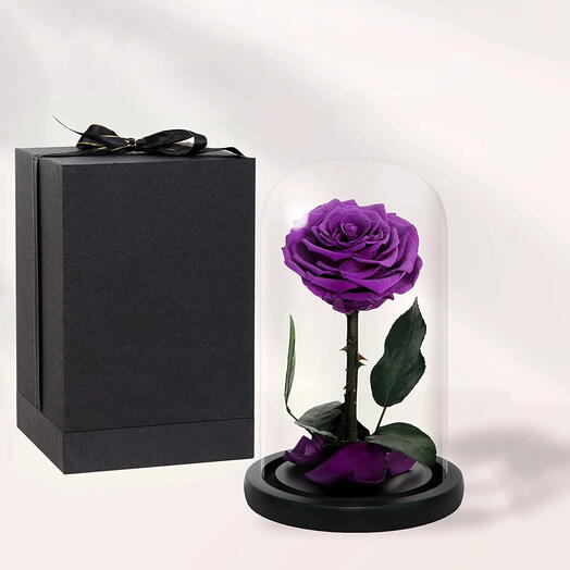 Glass Dome Vase With Single Rose Purple