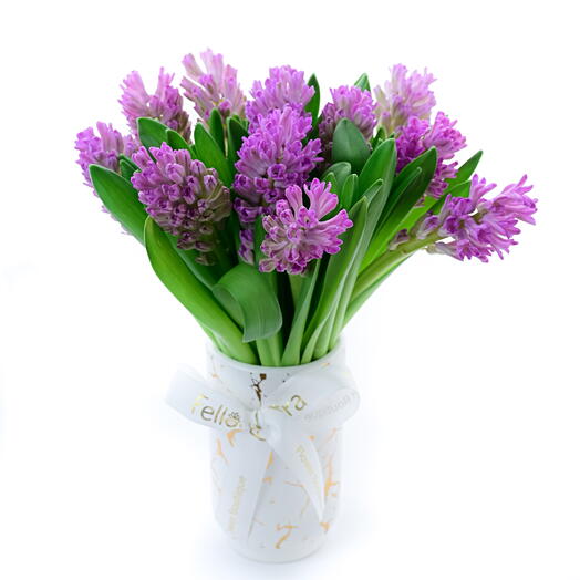 Hyacinth Oasis - Purple