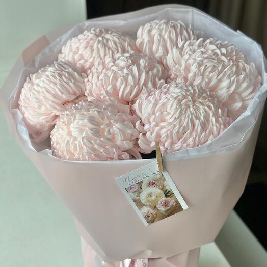 Хризантемы зефирки