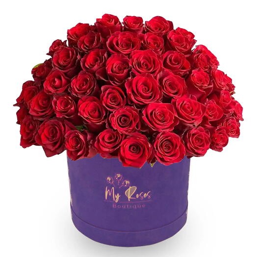 Dark Purple Velvet Box With 200 Red Roses