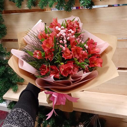 New Year's Alstroemeria