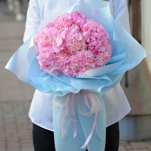 Bouquet of 7 pink hydrangeas