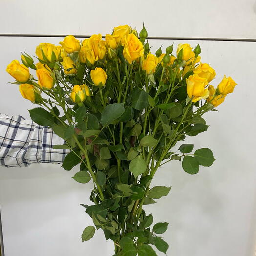 Baby rose yellow bunch