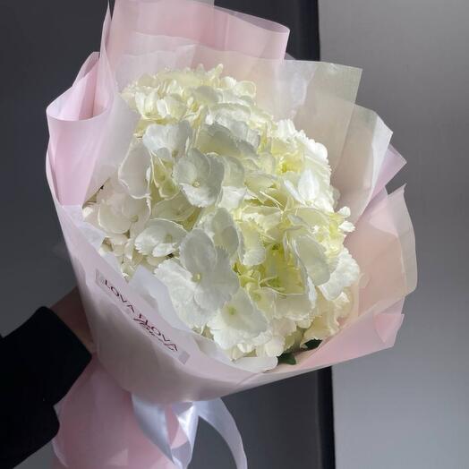 Гортензия в дизайнерской упаковке