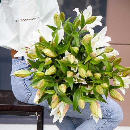 Lily