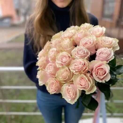 15 rosas Rosadas