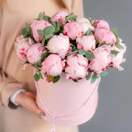 Пионы | Для тебя 💌