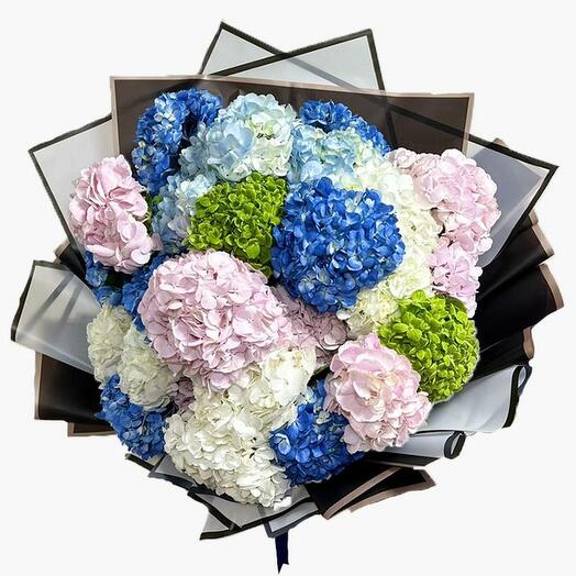 21 Mix Hydrangea for Someone Special