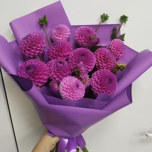 Iris Blumen na Duki