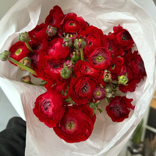 Ranunculus red 21 stems