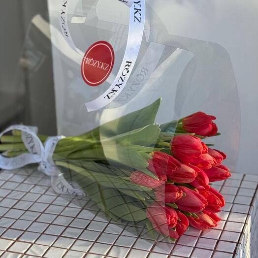 Стильная сумочка 15 красных тюльпан