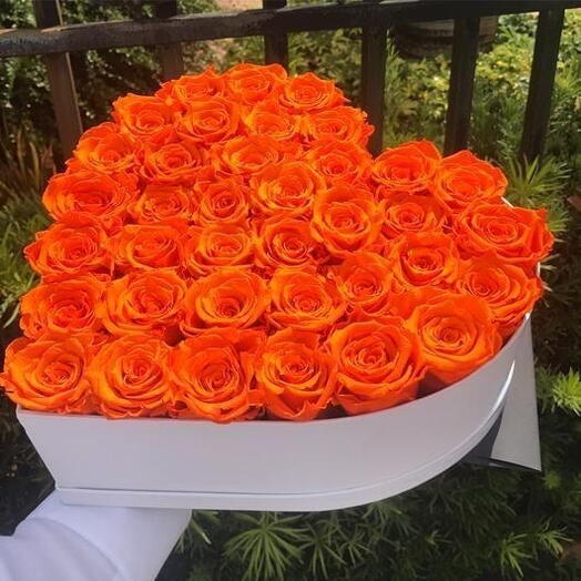 40 rosas naranjas