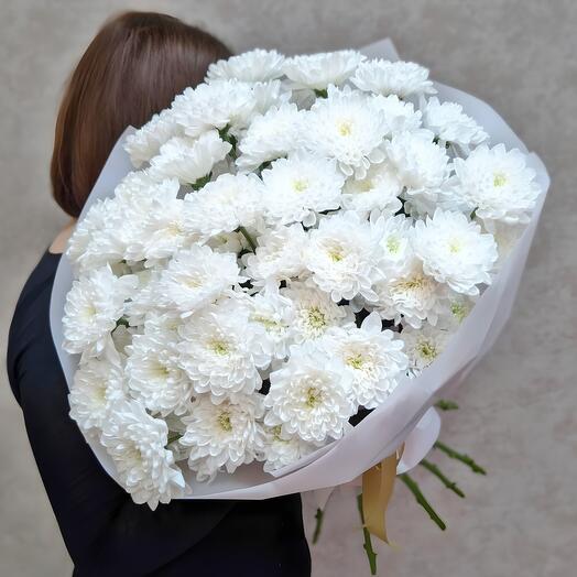 Хризантемы белые