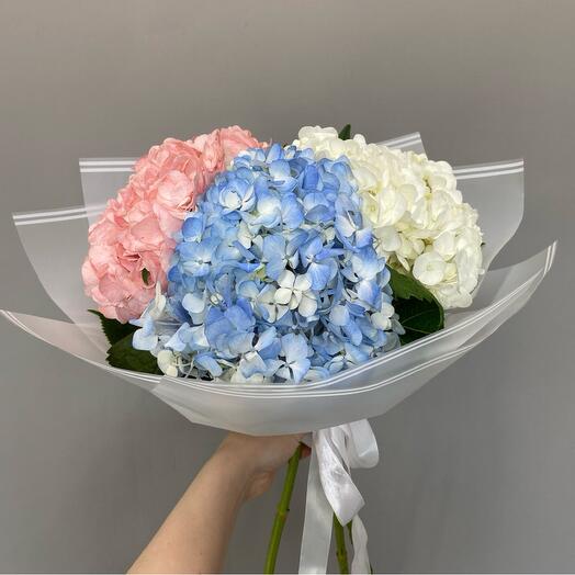 Гортензия микс 3 штук в упаковке