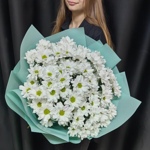 Букет из 9 белых ромашковых кустовых хризантем (код 430)