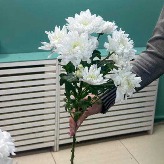 Gift Flower