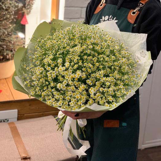Bouquet of daisies