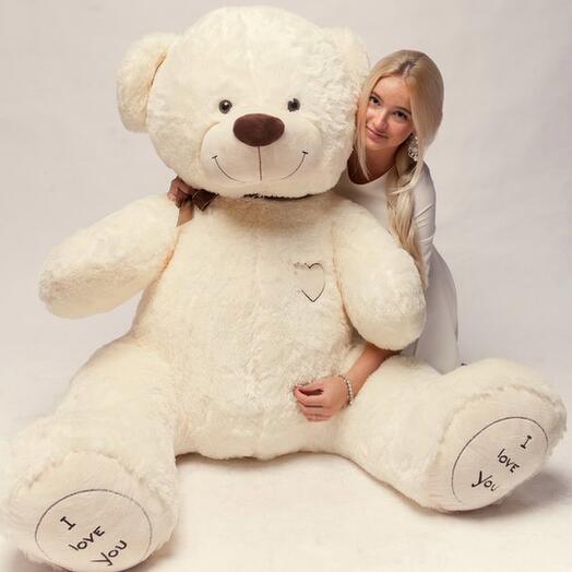 Thebears