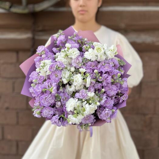 11 bush Mattiol lilac white mix