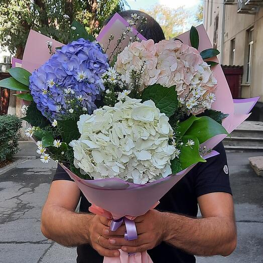 Hortensia extraordinaria