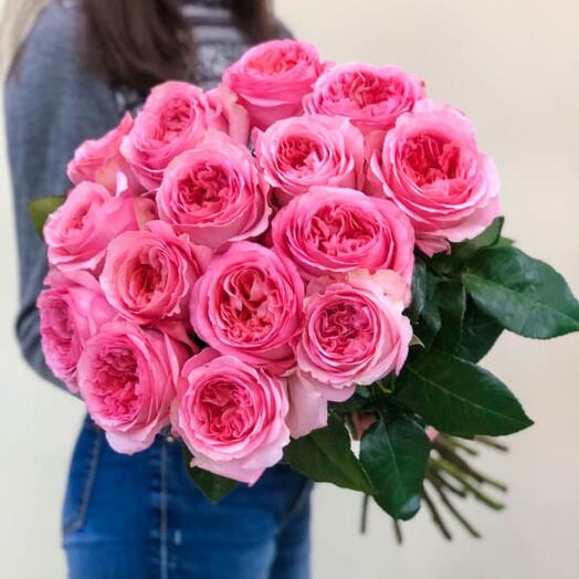 Rose Pink Express