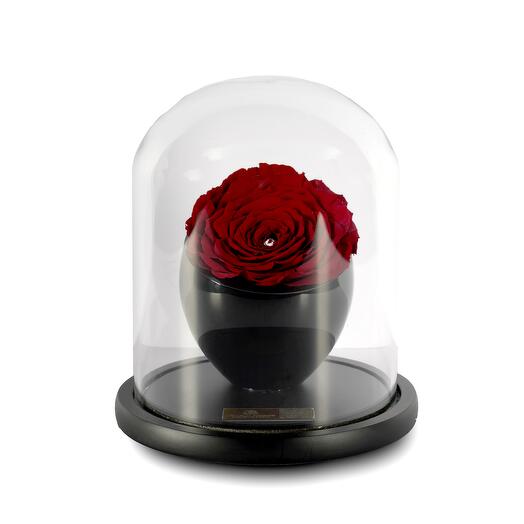 Dark Red Preserved Roses in crystal vase Single
