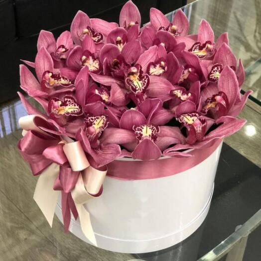 Архидеии в коробке