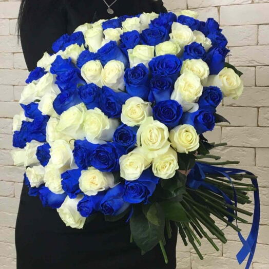 101 blue and white roses