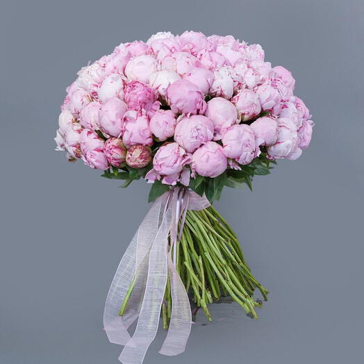 101 Peony Luxury Bunch